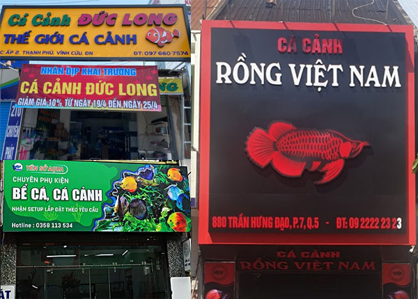 Làm biển quảng cáo cửa hàng cá cảnh